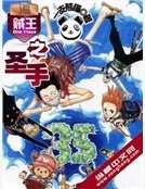 海贼王之圣手