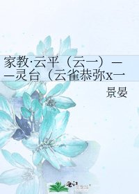 《家教·云平(云一)——灵台(云雀恭弥x一平)》