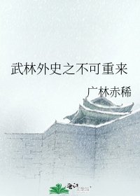 《武林外史之不可重來》