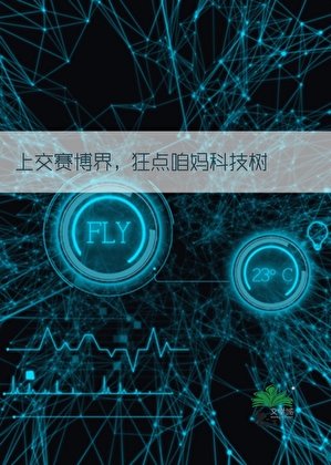 《背靠祖国,制霸赛博!》